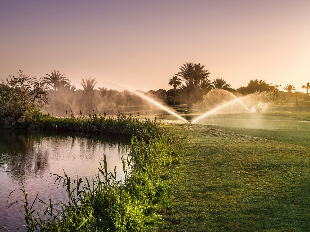 Palmeraie Golf Club