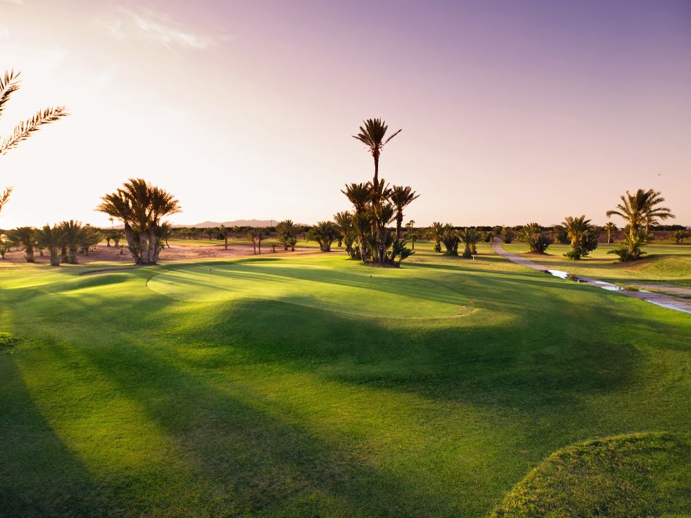 Palmeraie Golf Club