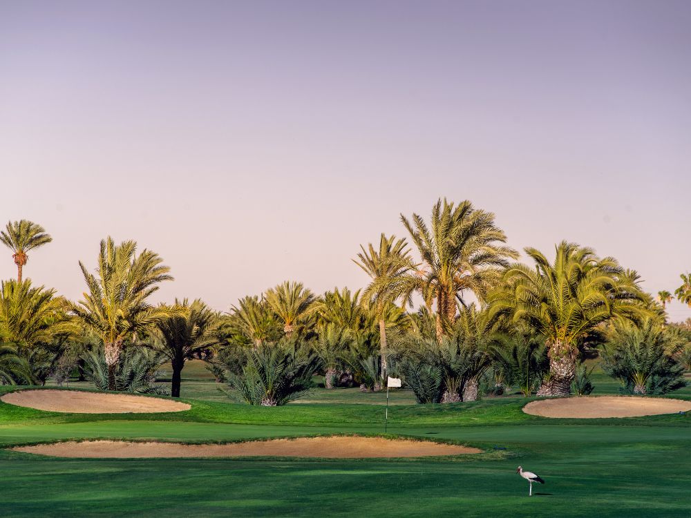Palmeraie Golf Club