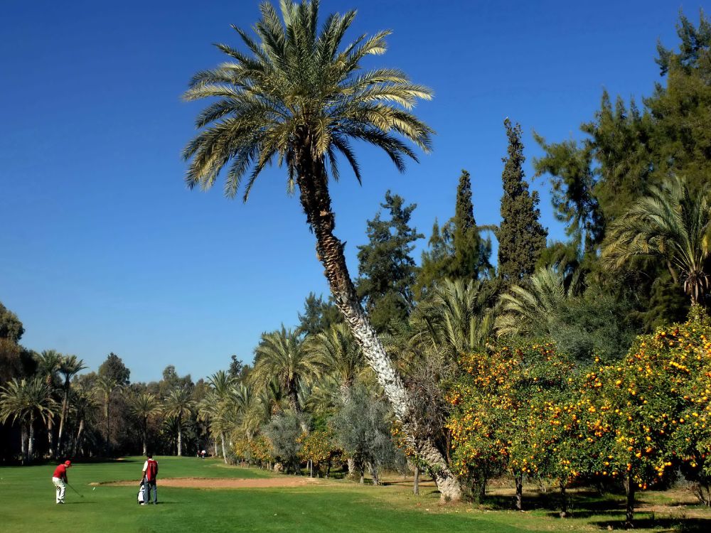 Royal Golf Marrakech