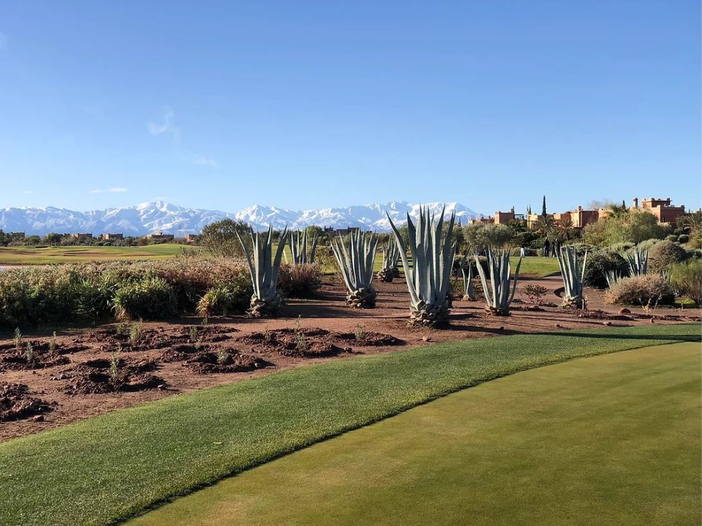 Samanah Golf Course