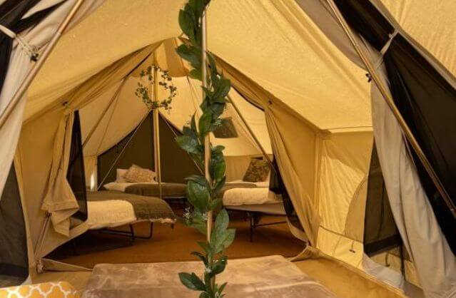 Trentside Glamping