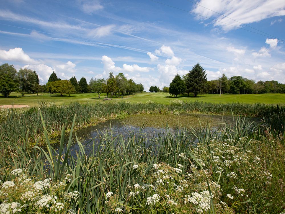 Fairwood Park Golf Club