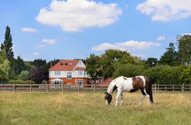 Essex accommodation