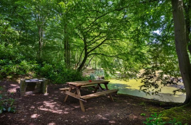 Essex accommodation