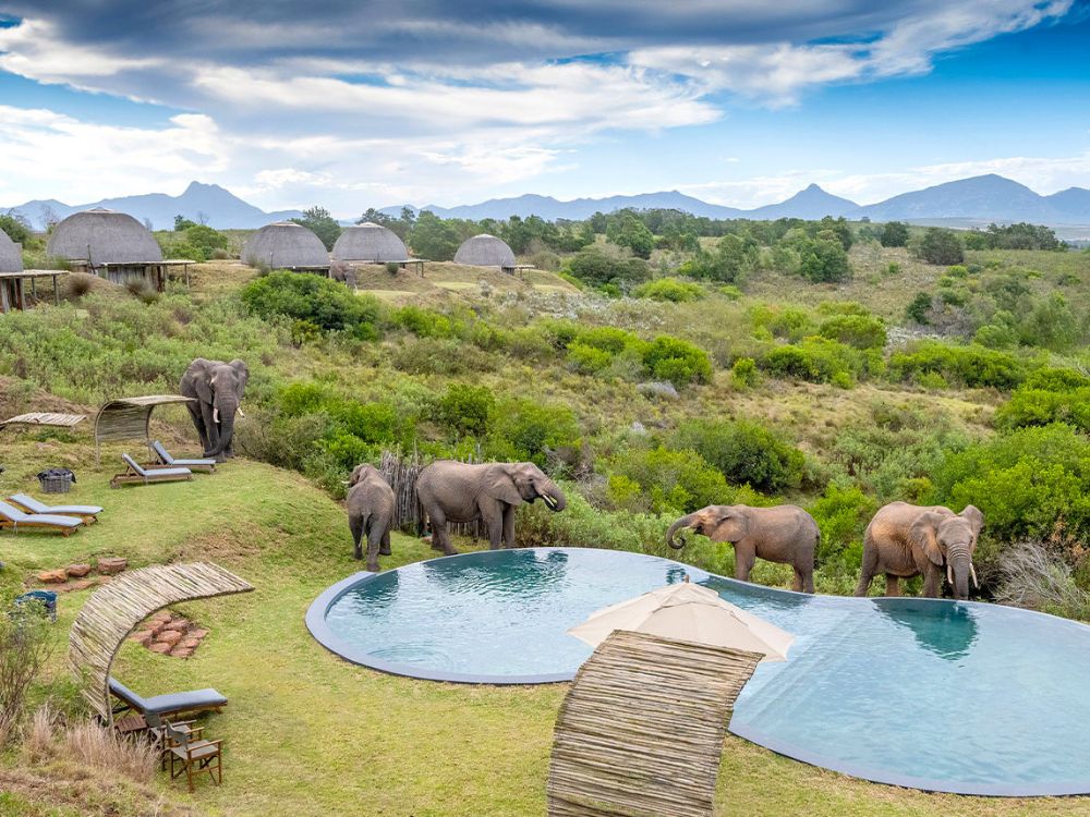 Gondwana Kwena Lodge
