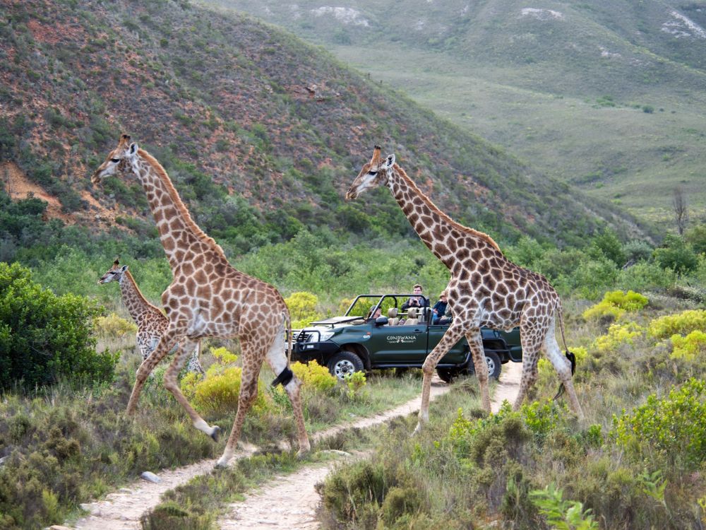 Gondwana Kwena Lodge