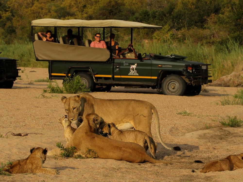 Jock Safari Lodge