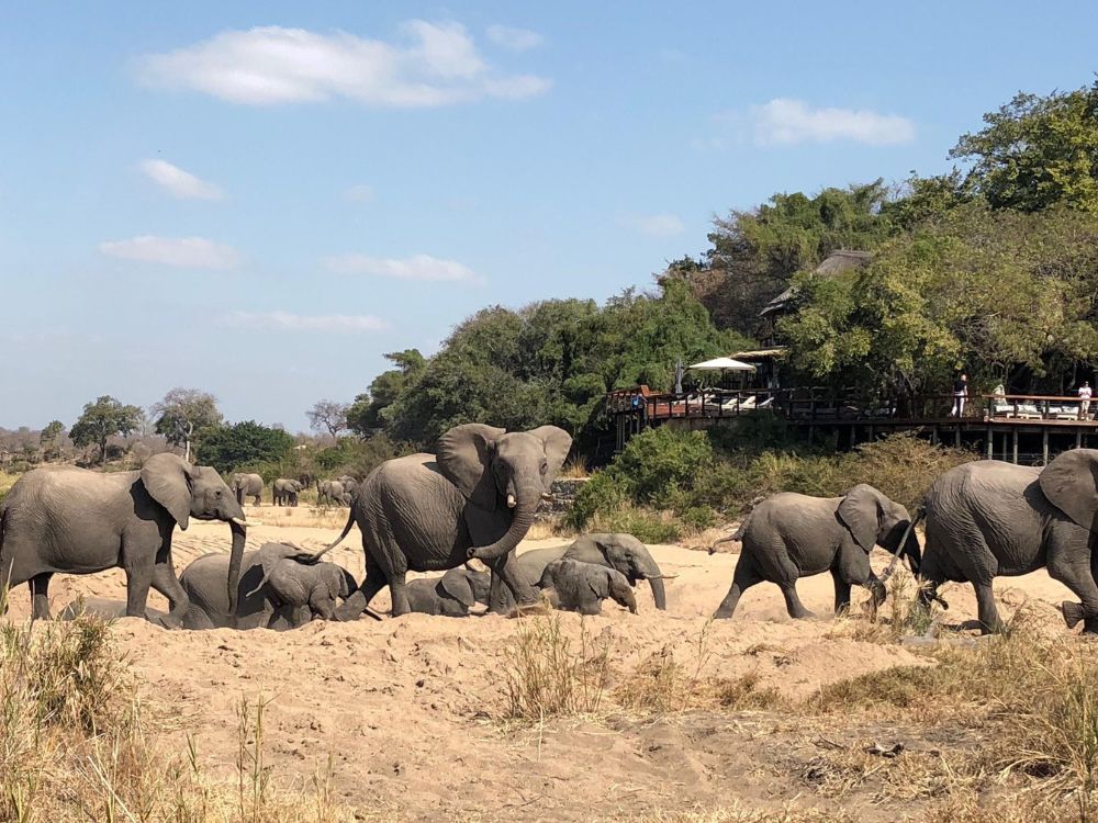 Jock Safari Lodge