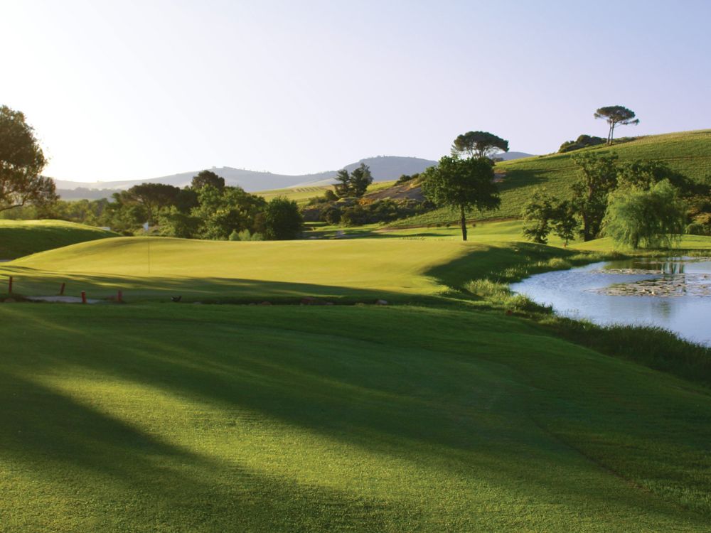 De Zalze Golf Club