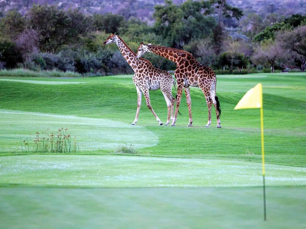 Leopard Creek Country Club